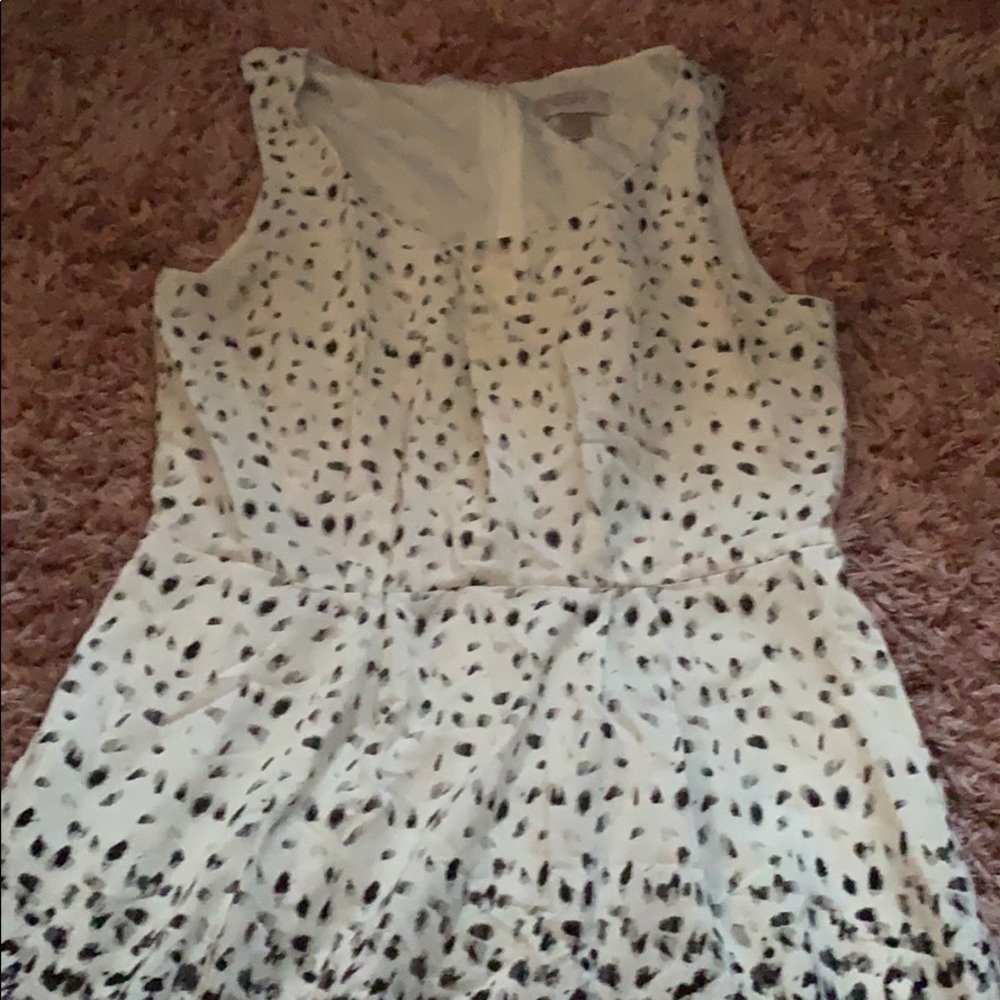 loft dress